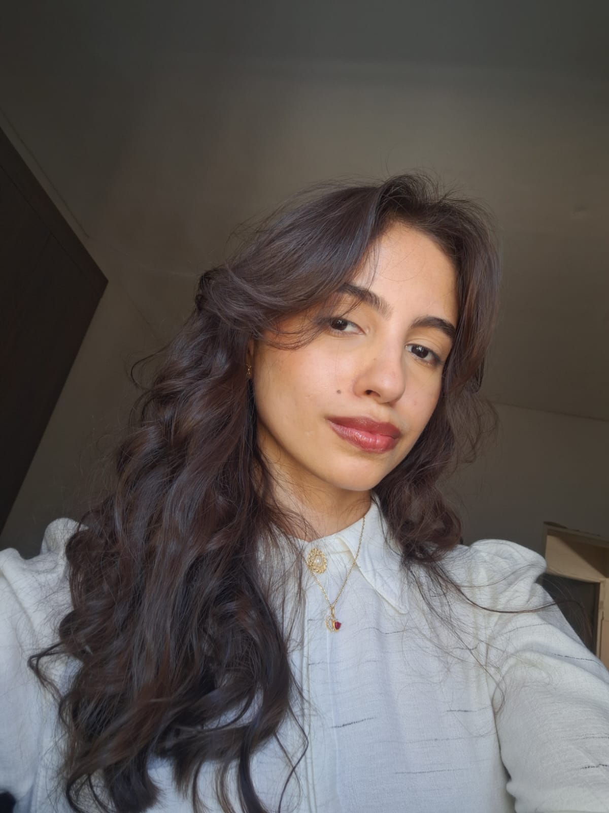 SPES + Enem Estratégico